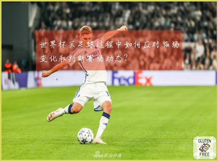 世界杯买足球过程中如何应对临场变化和判断赛场动态？