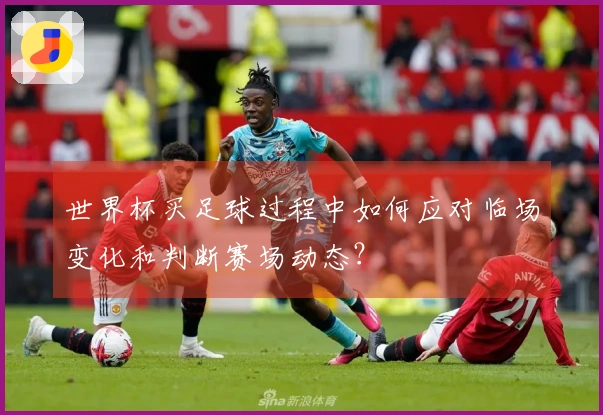 世界杯买足球过程中如何应对临场变化和判断赛场动态？