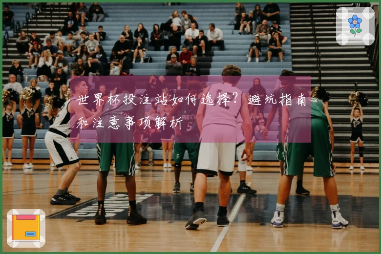 世界杯投注站如何选择？避坑指南和注意事项解析